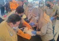 Peringati Hari Rabies Sedunia, DKP3 Gelar Vaksinasi Rabies Gratis Untuk Hewan Peliharaan