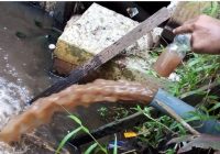 Pelanggan Mengeluh Air Belum Mengalir, PDAM Bandarmasih Langsung Lakukan Flushing