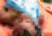 Mr X 'Rambut Motif Avatar' Diduga Korban Tabrak Lari di Danau Salak, Meninggal di Lokasi Kejadian