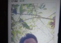 Hariyadi Hilang di Lok Buntar HST, Sempat Terdengar Teriakan 'Abah' di Tengah Hutan Karet
