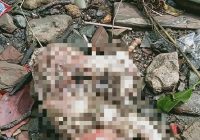 BREAKING NEWS: Ditemukan Mayat Bayi di Desa Hilir Muara Kotabaru