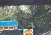 Viral, Sepasang Remaja Diduga Mesum di Siang Bolong di Terminal Pantai Hambawang HST