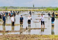 Lima Dubes Negara Sahabat Ikut Terjun ke Lumpur Bersama Jokowi di Tana Tidung