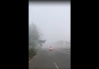Kabut Asap Tebal Melanda Liang Anggang dan Jalan Ahmad Yani Km 16, Pengguna Jalan Diharap Berhati-hati