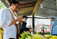Tak Hanya Beli Pisang dan Bawang di Papua, Presiden Jokowi Nikmati Makan Jagung Rebus di Pinggir Jalan