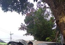 Kecelakaan di Sungai Aning Astambul, Taksi L300 Terbalik