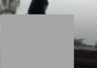 Viral, Pelajar SMK Bali Mesum di Gubuk, Polisi Buru Perekam dan Penyebar Video