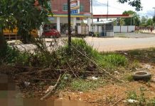 BREAKING NEWS: Scoopy Vs Toyota Calya Jalan Gubernur Syarkawi, Pemotor Wanita Meninggal di Lokasi