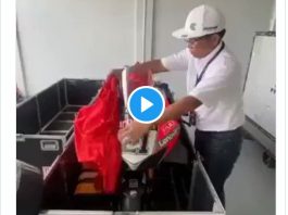 Inilah Video Saat Boks Kargo Dibongkar Panitia Lokal WSBK Mandalika, Hingga Picu Kemarahan Bos Ducati