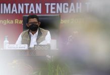 Tinjau Banjir Kalteng, Ketua Satgas Peringatkan Covid-19 Belum Selesai