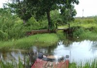 BREAKING NEWS: Mobil Sedan Tercebur di Tanah Laut, Tiga Penumpang Diduga Tewas