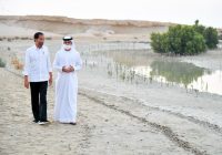 Usai Bertemu Putra Mahkota Abu Dhabi, Presiden Jokowi Kelilingi Jubail Mangrove Park