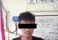 Pria Bejat di Kotabaru Ditangkap, Masukan Alat Kelamin ke Anus Korban