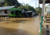 Banjir Kepung 7 Kecamatan di Kabupaten Katingan Kalteng Capai 50 Sentimeter