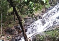 Nikmati Air Terjun Puteri di Tahura Sultan Adam