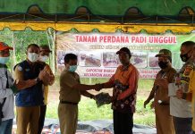 Optimasi Lahan di Kabupaten Banjar, Targetkan 700 Hektar