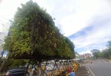Mesin Pompa Air di Taman Vertikal Hilang, Berikut Nilai Kerugian DLH Kota Banjarmasin
