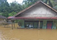 Banjir Bandang Setinggi 4 Meter Rendam 6 Desa di Kecamatan Teweh Timur, Barito Utara, Kalteng