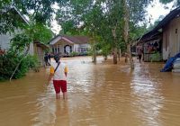 Warga PPU Diimbau Tetap Waspada Banjir Rob, BKMG Prakirakan Pasang Maksimum Hingga 23 Desember