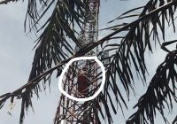 BREAKING NEWS: Diduga Ingin Bunuh Diri, Remaja Binuang Panjat Tower Seluler