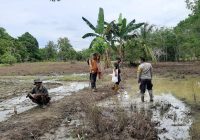 Bhabinkamtibmas Desa Mandingin Mendapat Apresiasi Petani, Tak Risih Bantu Warga