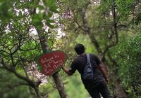 BPDASHL Barito Ungkap Kalsel Miliki Lebih dari 4.700 Hektar Lahan Kritis, Pemprov Kalsel Sarankan Rehabilitasi Mangrove