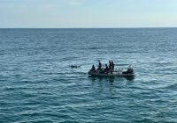 KRI Parang-647 Temukan Jasad Mengapung di Laut Diduga TKI Ilegal