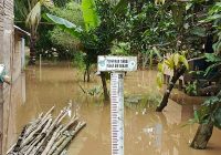 140 Rumah di Rantau Nangka Kabupaten Banjar Terendam, Air Sepinggang Orang Dewasa