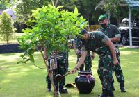 Pangdam Sempatkan Tanam Pohon di Mako Rindam VI/Mulawarman di Banjarbaru