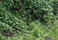 Diduga Tabung Gas Melon Bocor, Nyaris Picu Kebakaran di Kelayan B Dekat Kompleks 10