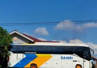 DAMRI Tawarkan Mudik Rute Banjarmasin-Kotabaru Hingga Balikpapan dan Samarinda Kaltim, Tarif Mulai Rp 10 Ribu