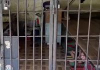 Heboh, Penemuan Kerangkeng Manusia di Rumah Bupati Langkat yang Terjaring OTT KPK