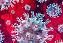 Omicron Siluman Sudah Capai 668 Kasus, Puan Maharani Minta Pemerintah Kaji Kebijakan Pandemi