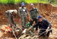 Dishut Kalsel Temukan 14 Kubik Kayu Ilegal logging di Tanah Bumbu, Juga Tertibkan Tambang Emas Ilegal di Kabupaten Banjar
