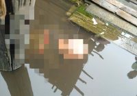 BREAKING NEWS Jasad Seorang Pria Ditemukan Mengapung di Kelayan Banjarmasin