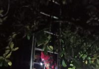 BREAKING NEWS : Perempuan Tercebur Dalam Sumur di Desa Tungkaran