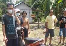 Jemput Anak Sekolah, Seorang Perempuan di Tamiang Layang, Kalteng Tewas Ditabrak Truk