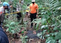 BREAKING NEWS: Mayat Bayi Ditemukan di Dalam Hutan Desa Belimbing Raya Murung Pudak Tabalong