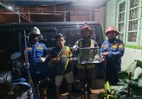 Ular Masuk Rumah di Pekauman Ulu Berhasil Dilepas Liarkan, Jauh Pemukiman
