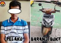 Tersangka Pelaku Curanmor di Desa Mekar Ditangkap, Sempat Kecoh Polisi
