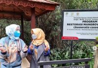 Pemprov Kalsel Bakal Kenalkan & Kembangkan Lagi Wisata Bekantan Pulau Curiak