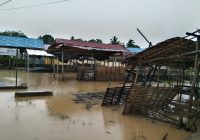 Banjir Kembali Melanda Sejumlah Wilayah di HSS dan HST, Warga Desa Malinau HSS Panik Evakuasi Barang