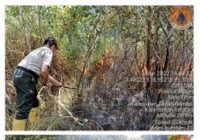 1,5 Ha Lahan di Jalan Penghulu Batulicin Terbakar, Timbulkan Asap Tebal