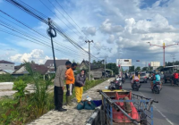 Pria Tergeletak di Tepi Jalan Akibat Disengat Tawon Usai Membeli Kelapa Sawit