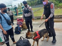 Kemenag Masih Dibuka Pendaftaran Da'i Penempatan Perbatasan Kalbar-Malaysia, Ada Insentif Hingga Tiket Pesawat