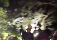 Evakuasi Sedan Tercebur di A Yani Depan Hotel Aston Gambut Terpaksa Gunakan Chainsaw
