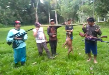 Warga Berhasil Menangkap Anjing Liar yang Meneror Penduduk Desa Wirang dan Bongkang Tabalong