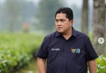 Horeee! Monas Akan Dihijaukan Kembali, Erick Thohir Gunakan CSR