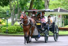 Tengok Kemesraan Jokowi Naik Delman dan Main Bareng Cucu-cucunya di Hari Minggu