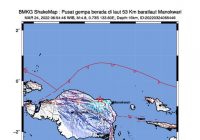Kota Manokwari Papua Barat Digoyang Gempa Magnitudo 4,8, BMKG: Pusat Gempa di Laut 53 Kilometer Barat Laut Manokwari